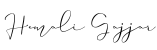 Owner's Signature